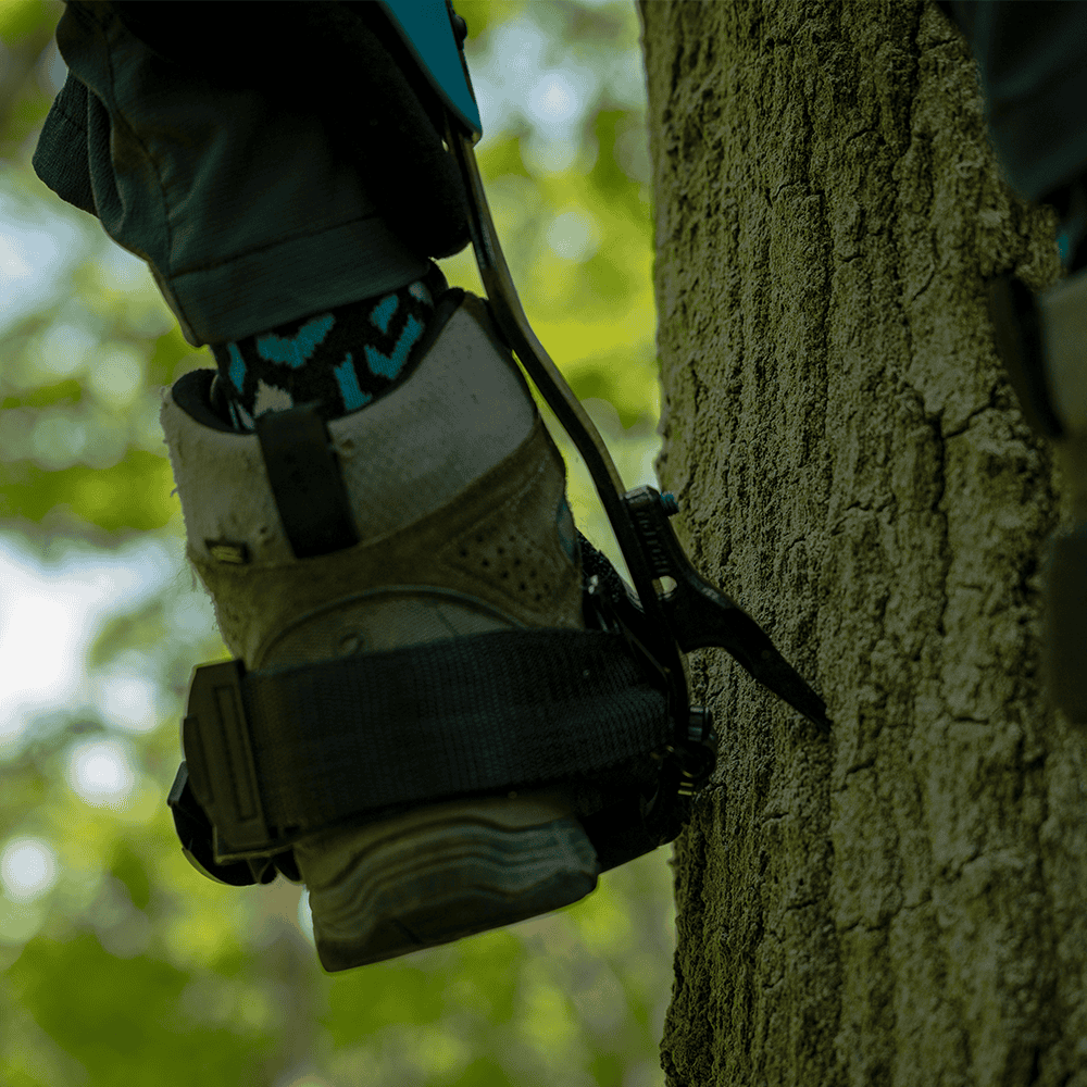 Notch Steel Climbers - Tree Gaff