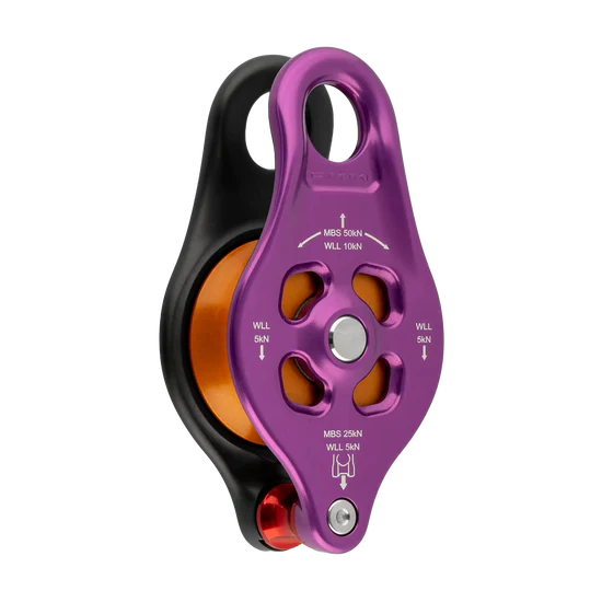 DMM Pinto Rig 2 Pulley Purple