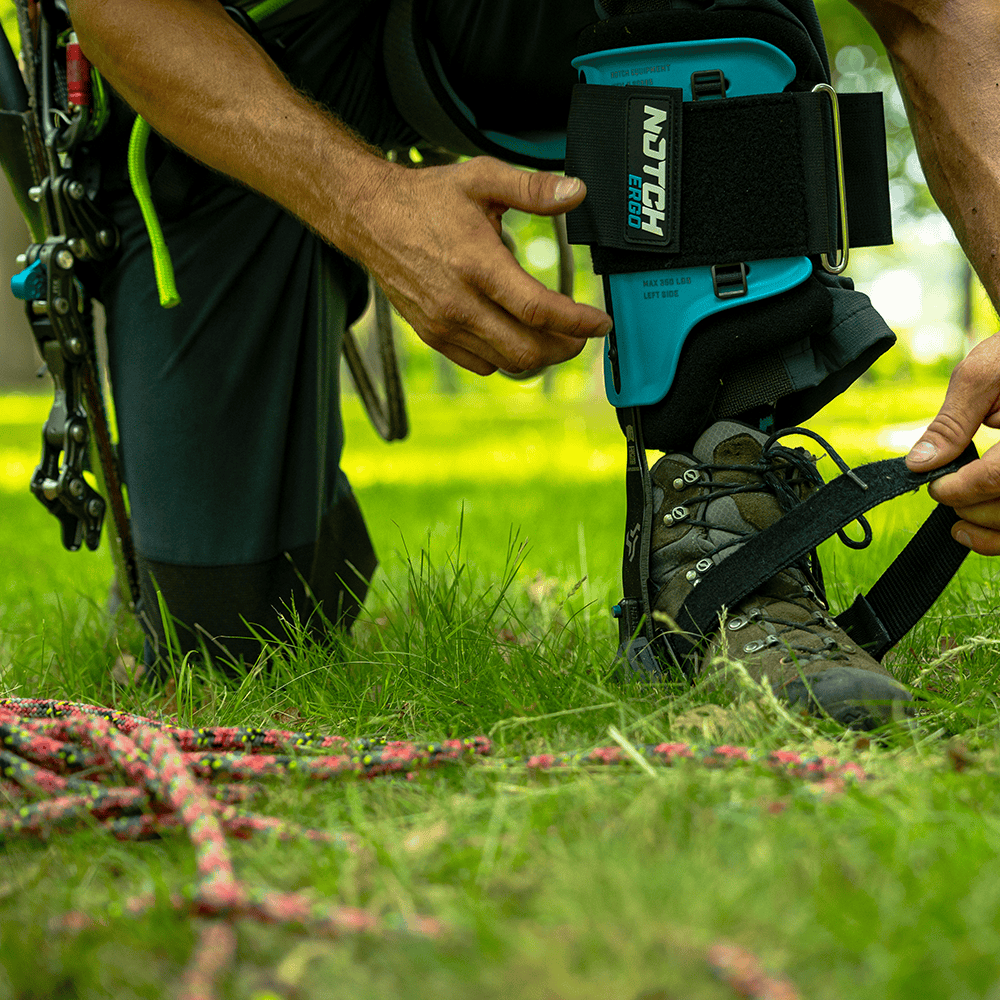 Notch Steel Climbers - Tree Gaff