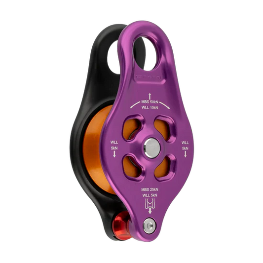 DMM Pinto Rig 2 Pulley Purple